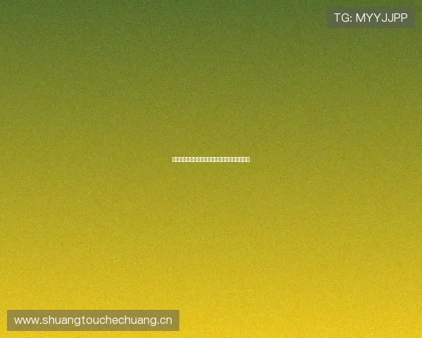 中央五套精彩节目全解析与每日播出时间详细指南